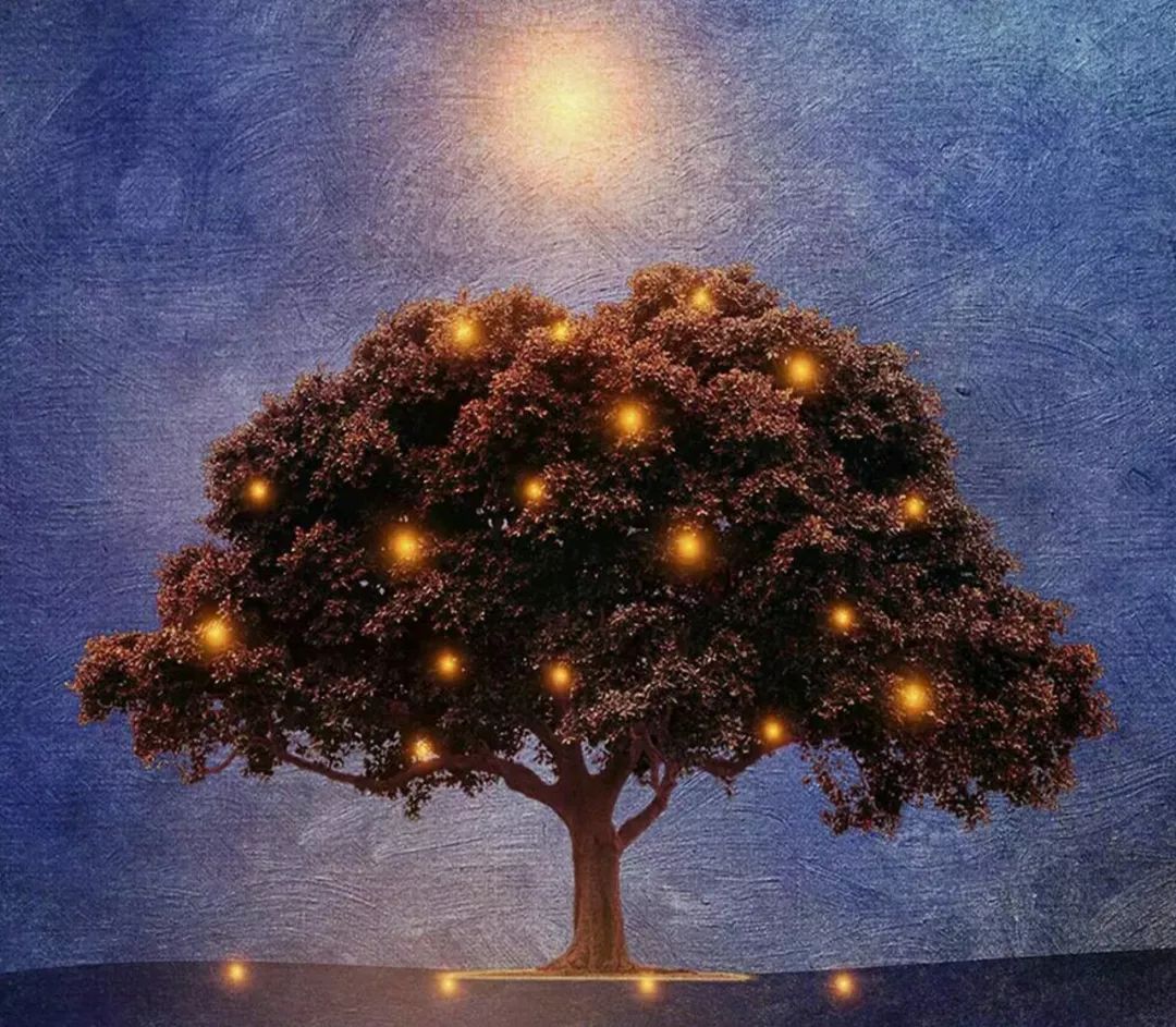 最美壁紙 | 233張全面屏手機2K壁紙滿足你的需求