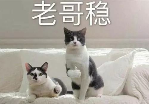 高效學習神器：千呼萬喚的Anki教程！