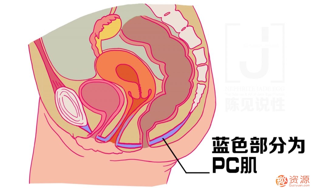 女性朋友怎么練習玉蛋功？玉蛋功鍛煉詳解插圖