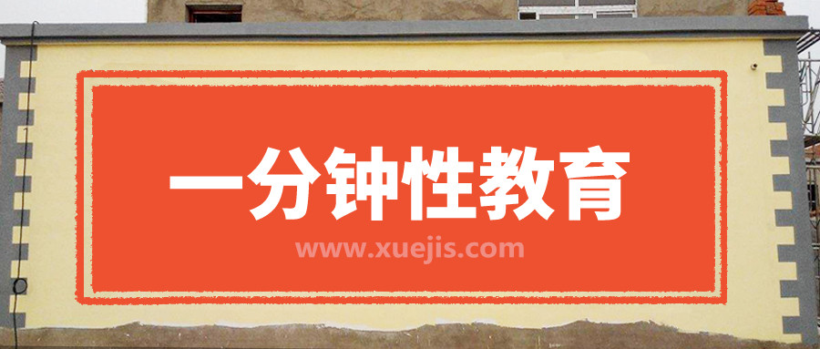 一分鐘性教育  百度網盤