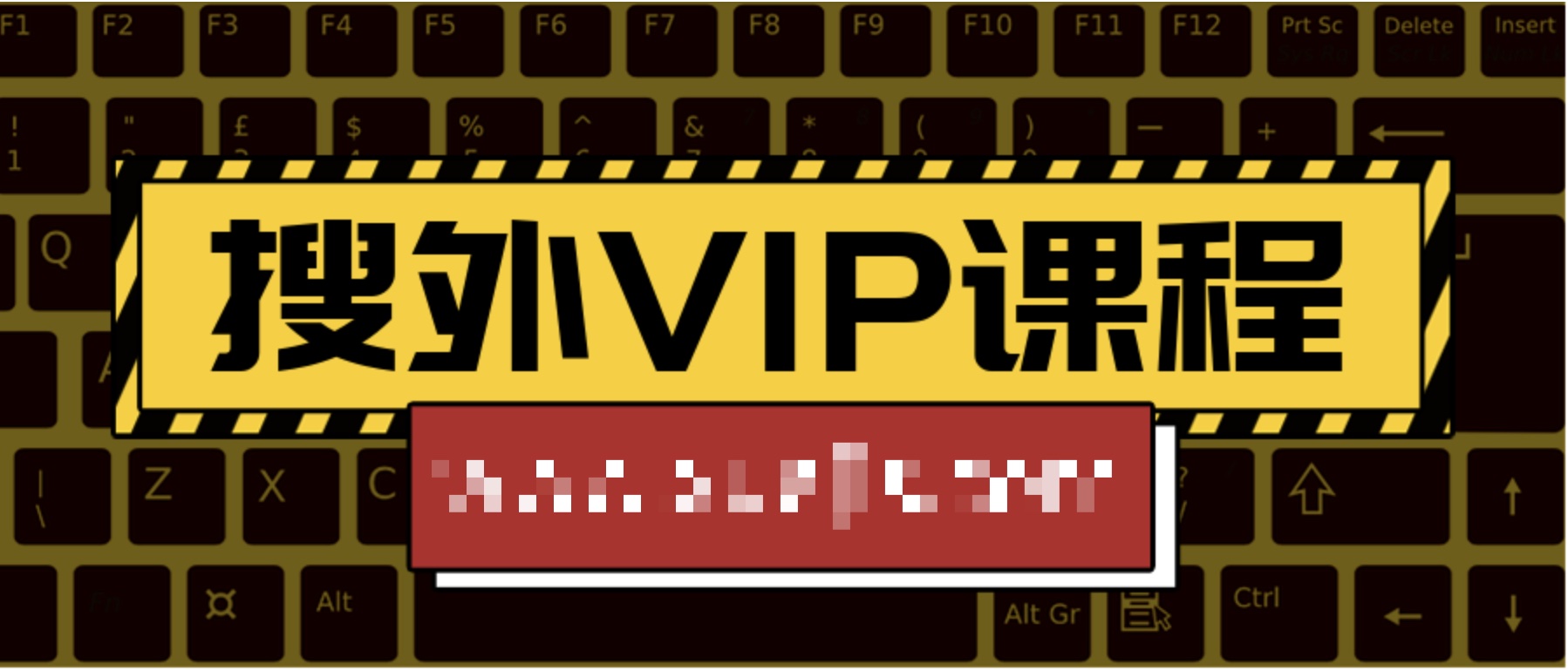 搜外VIP課程  百度網盤