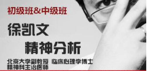 徐凱文精神分析取向心理治療初中級 百度云分享_趣資料教程視頻