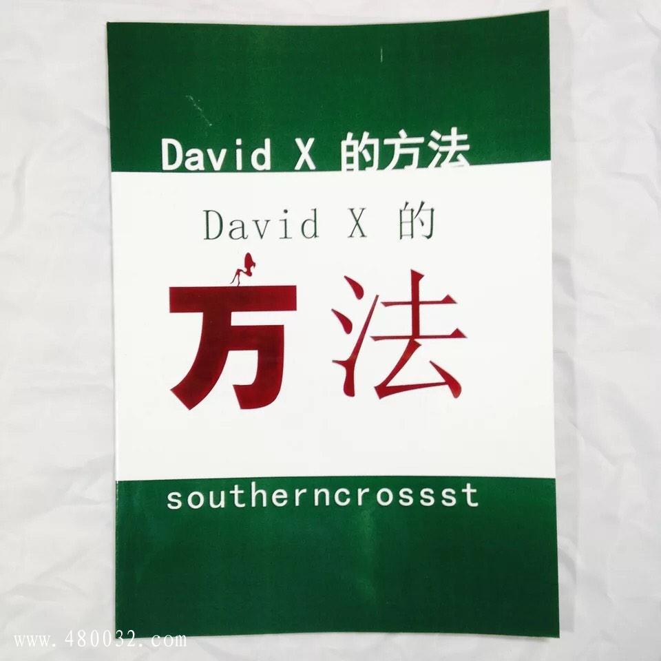 《David+X方法》PDF掃描版_百度云網(wǎng)盤資源教程
