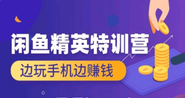 翼牛學堂：閑魚精英特訓營進階班，邊玩手機邊賺錢價值4999元-百度云網盤教程視頻插圖