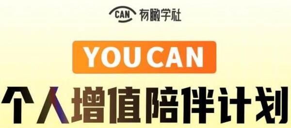 有趣學社《YOUCAN個人增值陪伴計劃》提升個人“穩定可持續賺錢能力”_百度云網盤視頻資源插圖