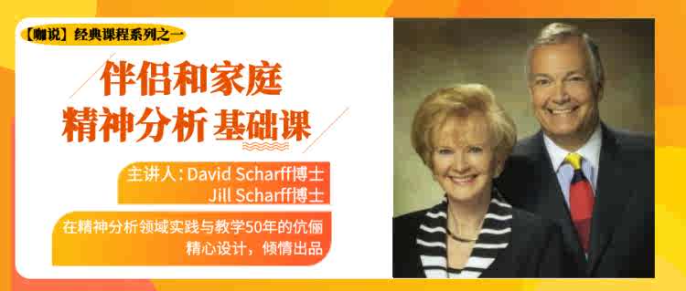 《咖說》經典課 伴侶和家庭精神分析基礎課_百度云網盤視頻課程