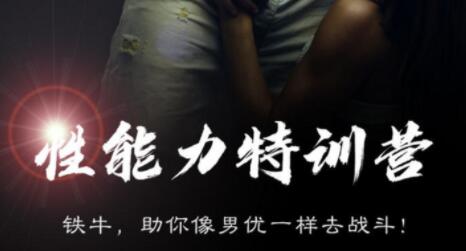 鐵牛7能力訓練營百度云網盤視頻教程