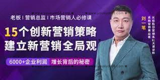 劉一葦《15個創(chuàng)新營銷策略：建立新營銷全局觀》（15講）_百度云網(wǎng)盤視頻教程