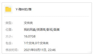 國產(chǎn)劇《隱秘的角落》全12集+番外國語中字