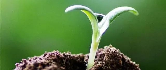 個人成長比賺錢更重要