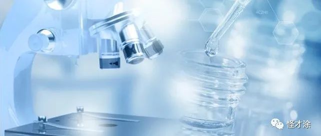 同行業(yè)競爭對手分析