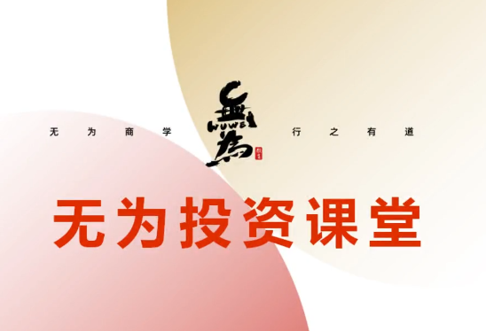 無為投資課堂《職業(yè)投資者訓(xùn)練營》36集視頻