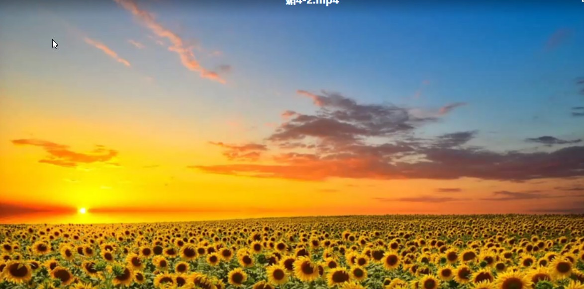 雪球愛爾蘭畫眉炒股培訓2021年課程視頻