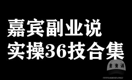 嘉賓副業說實操36技