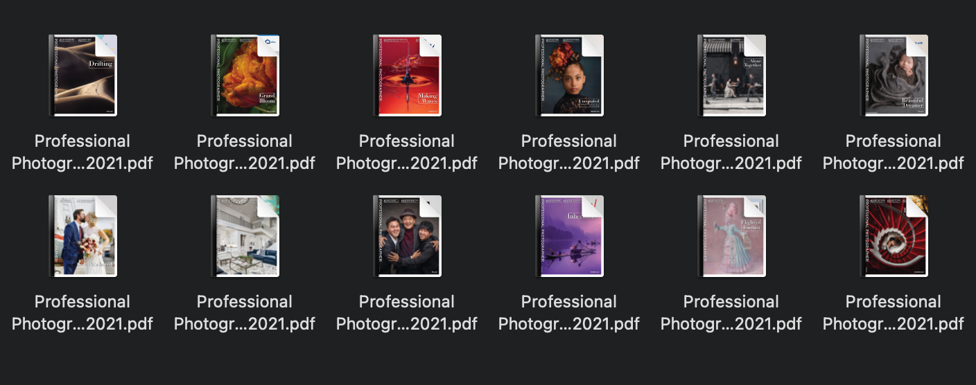 專業(yè)攝影師藝術雜志2021年度全集-pdf