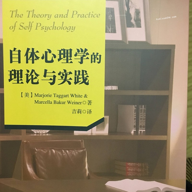 盧林 科胡特自體心理學理論和臨床實踐30講