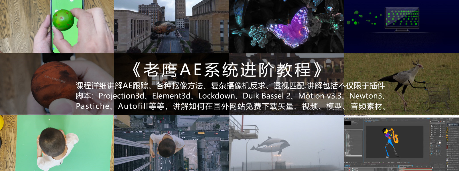 老鷹AE系統進階教程2021年【畫質高清有素材】