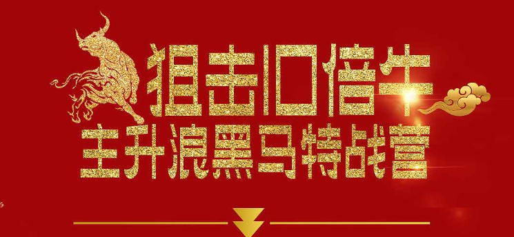 【一刀戰法】刀哥主升浪黑馬特戰營