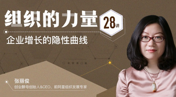 張麗俊組織的力量28講