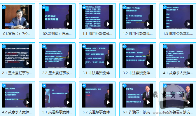 公訴思維與辯護策略：案件實景詳解刑辯實務（完結）