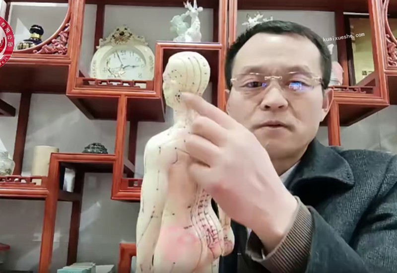 中醫(yī)五行能量手百度云分享