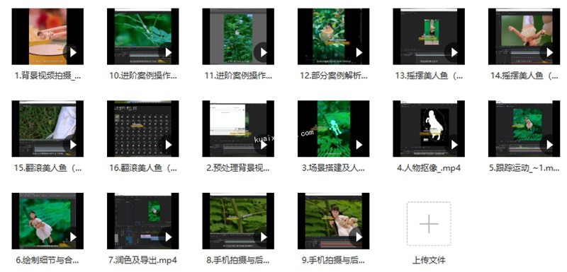 波妞波力的視頻通用教程+視頻素材+輔導班