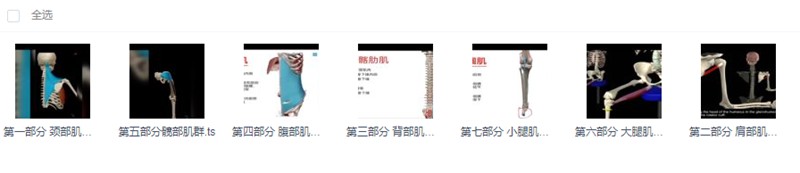 3D動畫解剖與體態關系百度云分享