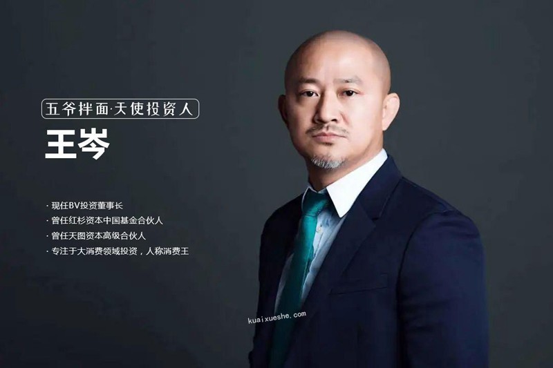 王岑大師精品課程合集百度云分享