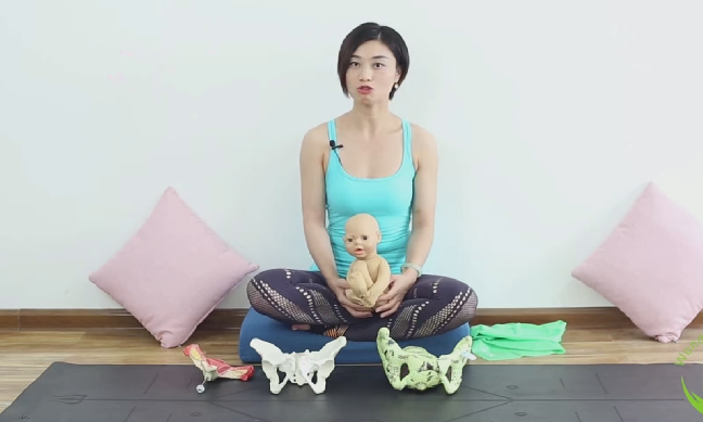 PR+AU 0基礎到大師級教程百度云分享