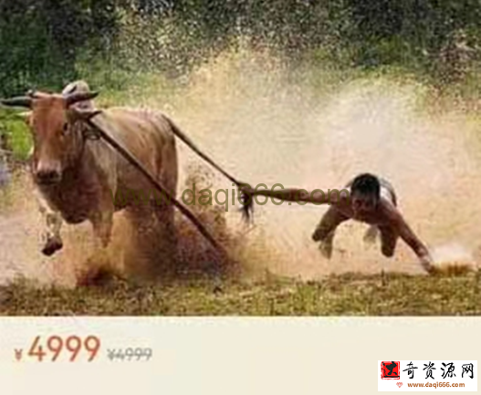 只會炒股 股哥訓練營 第十五期 股哥15期