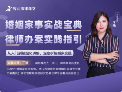 【法律完結】【智元】 《484 丁嫣婚姻家事實戰寶典：律師辦案實踐指引》