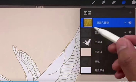 【設計上新】105.Procreate繪畫課