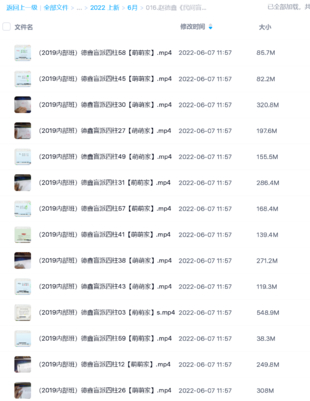 【易學上新】趙德鑫《民間盲派四柱》視頻59集
