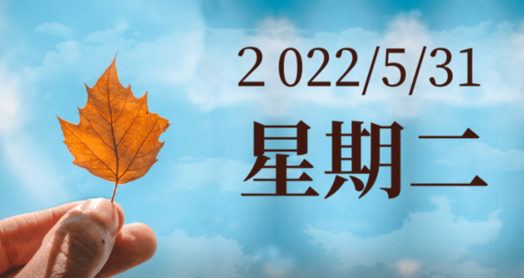 通過替換文本圖片，網上賺錢，3分鐘賺20美金
