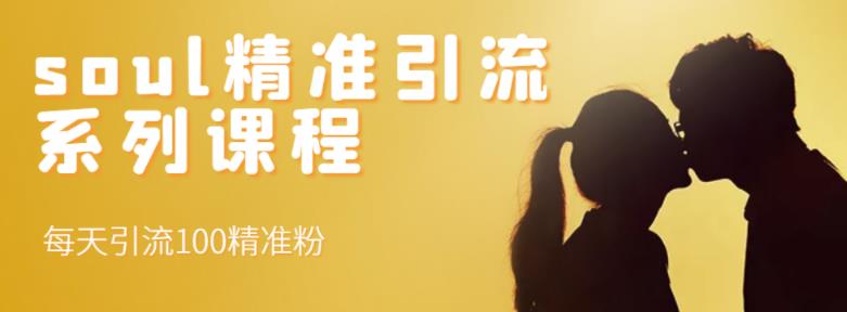 soul精準引流系列課程，每天引流100精準粉