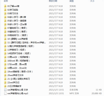 【網賺上新】19.SZ WEI音正式課程0707