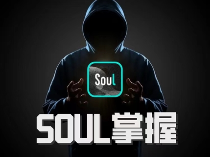 社交光譜社長《Soul掌握》【網(wǎng)盤分享】插圖