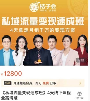 桔子會《私域流量變現速成班》4天線下課程全高清版