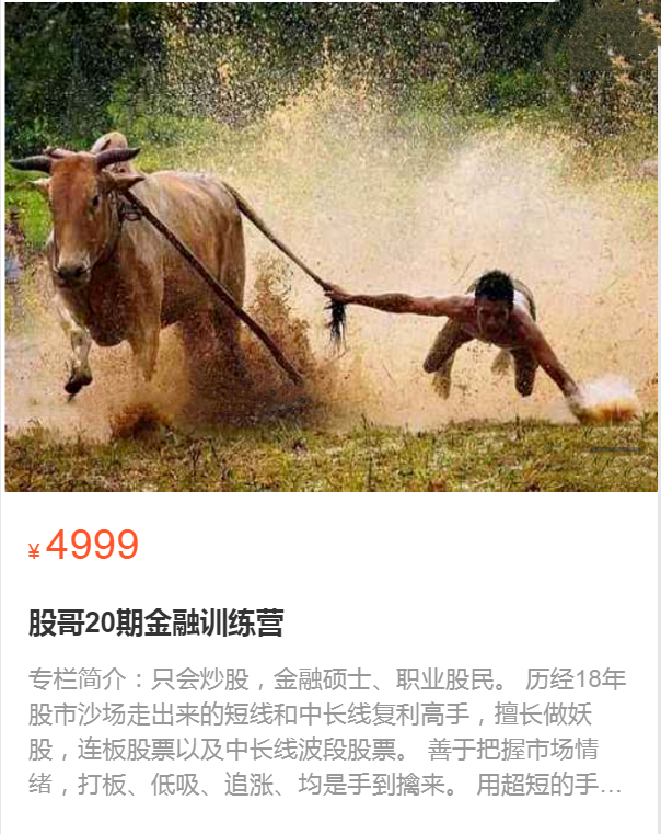 股哥訓練營 只會炒股第20期