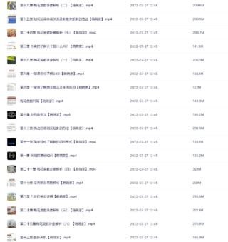 徐炳昕梅花基礎(chǔ)