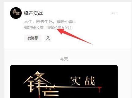 《鋒芒實(shí)戰(zhàn)》（網(wǎng)盤分享）