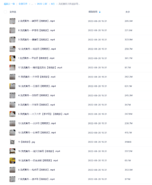 龍虎真傳天師道家符咒網盤分享