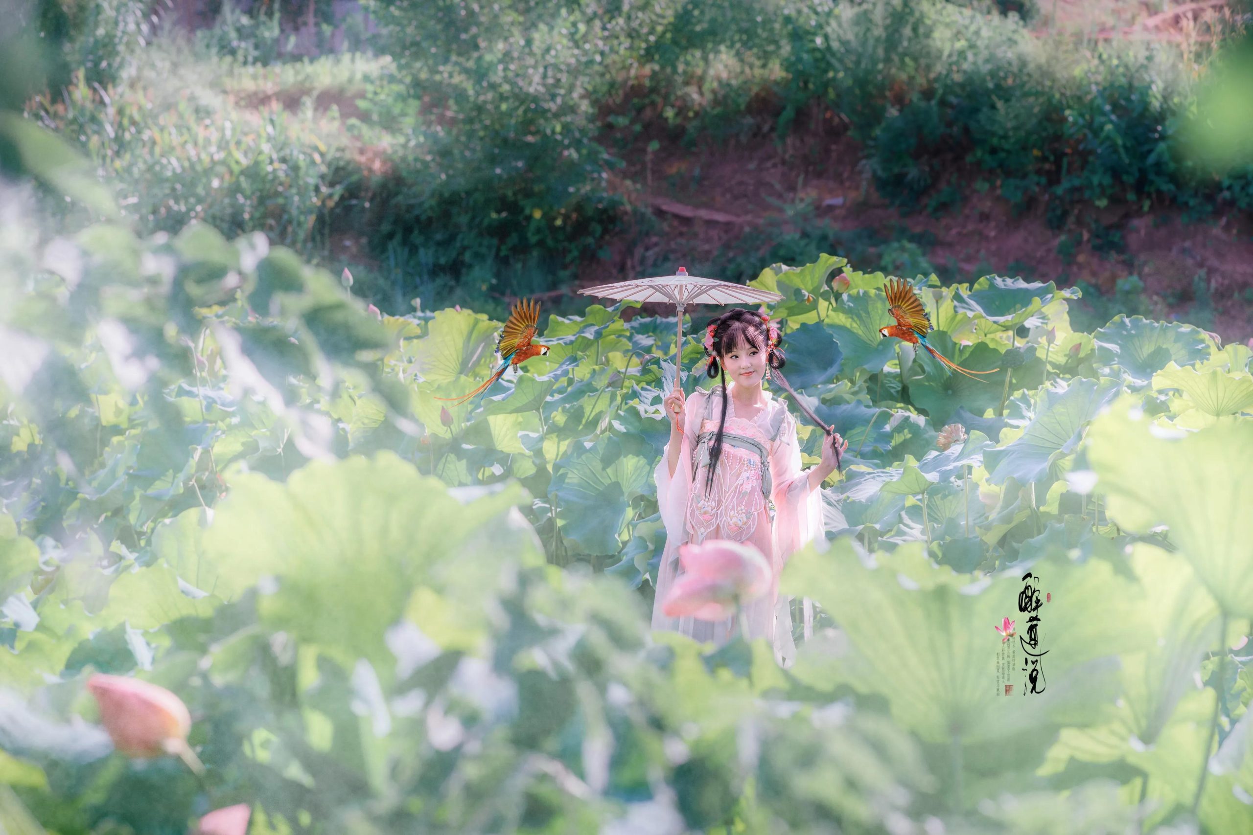 心醉迷，夢醉迷。葉鋪池，花開池。