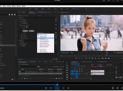 京京PR剪輯調色大師