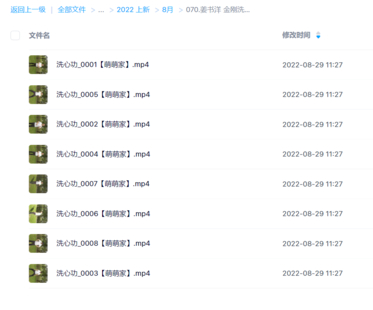 姜書洋五行坐樁功網盤分享