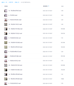 劉方星形法風水課程視頻20集