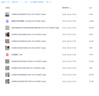 鳳麟宗天醫(yī)密相網(wǎng)盤分享