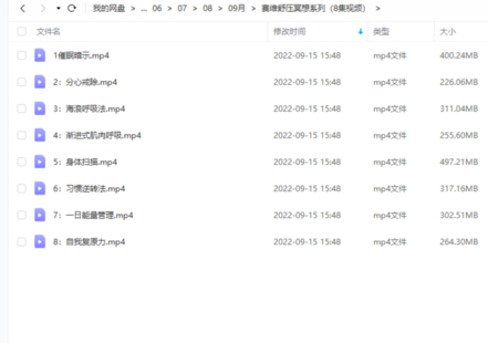 【情感上新】賽維舒壓冥想系列（8集視頻）網盤分享