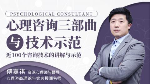 傅嘉祺 心理咨詢?nèi)壳c技術示范 四大階段11大學派75集高清視頻