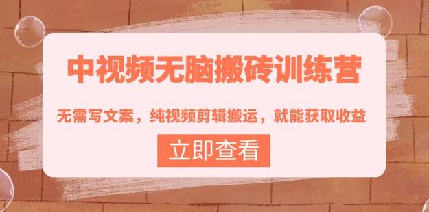 中視頻無腦搬磚訓練營網盤分享